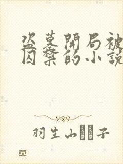 盗墓开局被张家囚禁的小说