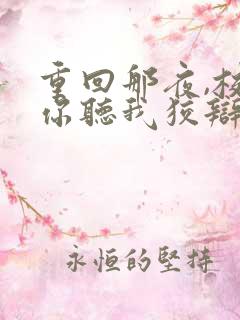 重回那夜,校花你听我狡辩网盘
