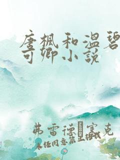 唐枫和温碧芸秦可卿小说
