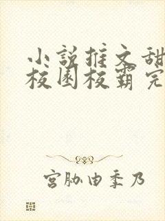 小说推文甜宠文校园校霸完结文