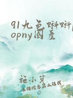 91九色蝌蚪popny国产 91九色蝌蚪popny国产