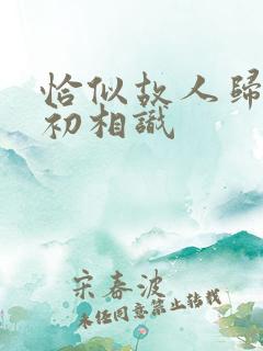恰似故人归与君初相识