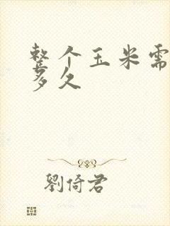 整个玉米需要煮多久