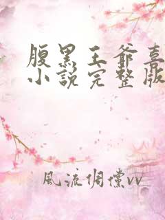 腹黑王爷喜当爹小说完整版大结局
