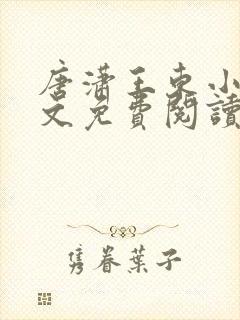 唐潇王东小说全文免费阅读 唐潇王东小说全文免费阅读