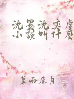 沈墨沈奕虞念念小说叫什么名字