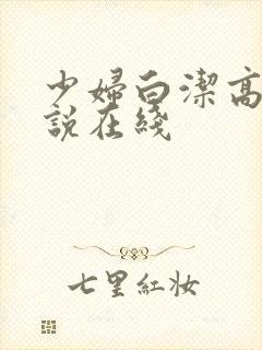 少妇白洁高义小说在线