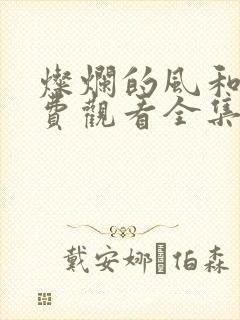灿烂的风和海免费观看全集