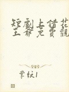 短剧上错花轿嫁王爷免费观看