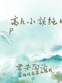 高h小说纯肉np