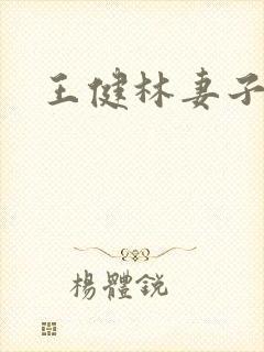 王健林妻子背景
