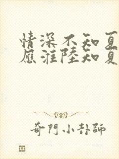 情深不知夏晚沈应淮陆知夏无删减完整版