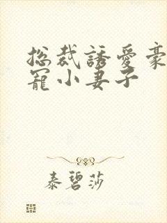 总裁诱爱豪门欢宠小妻子