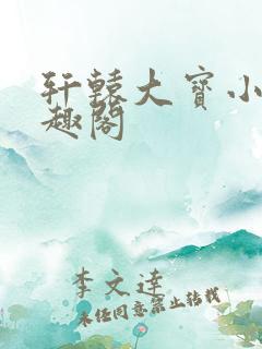 轩辕大宝小说笔趣阁