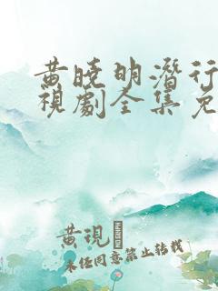 黄晓明潜行者电视剧全集免费观看