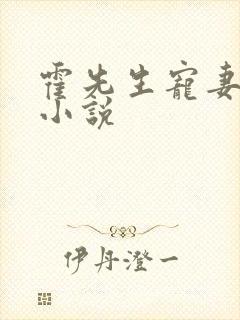 霍先生宠妻无度小说