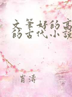 文笔好的高质量的古代小说言情