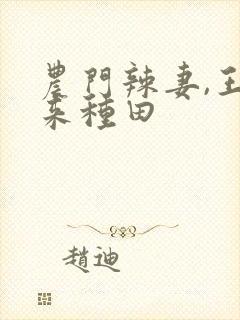 农门辣妻,王爷来种田