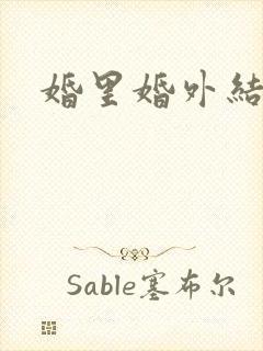 婚里婚外结局