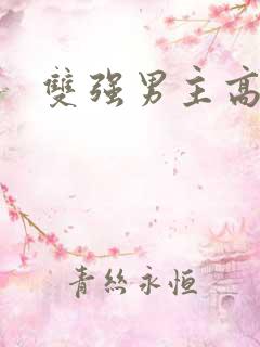 双强男主高干文