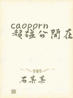 caoporn超碰公开在线