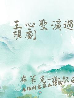 王心圣演过的电视剧