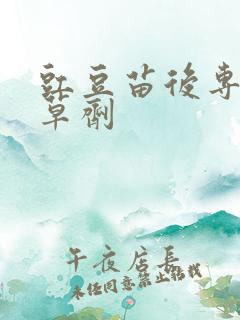豇豆苗后专用除草剂