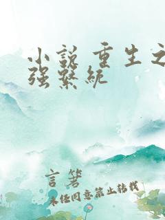 小说 重生之最强系统