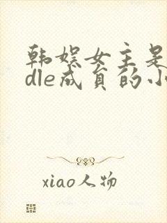 韩娱女主是gidle成员的小说