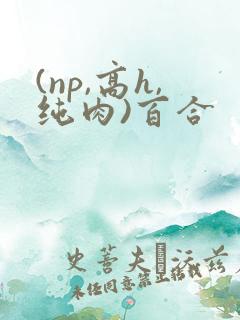 (np,高h,纯肉)百合