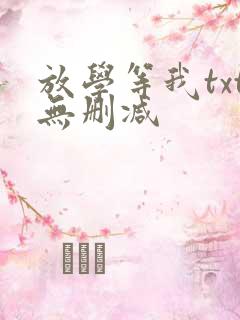 放学等我txt无删减