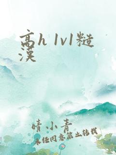 高h 1v1糙汉
