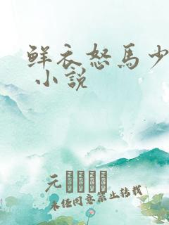 鲜衣怒马少年时 小说