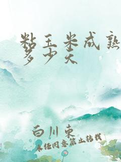 粘玉米成熟期是多少天