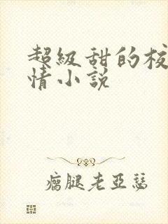 超级甜的校园言情小说