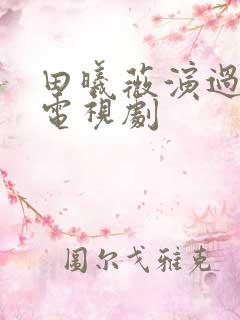 田曦薇演过哪些电视剧