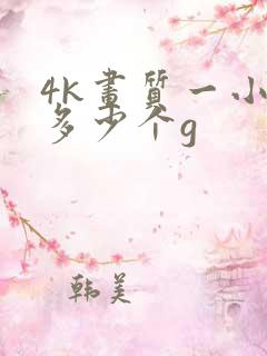 4k画质一小时多少个g
