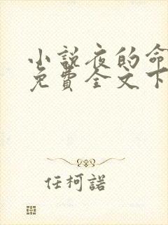 小说夜的命名术免费全文下载