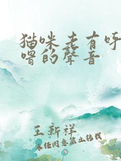 猫咪老有呼噜呼噜的声音