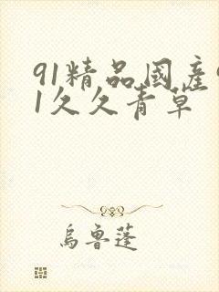 91精品国产91久久青草
