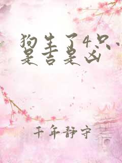 狗生了4只小狗是吉是凶