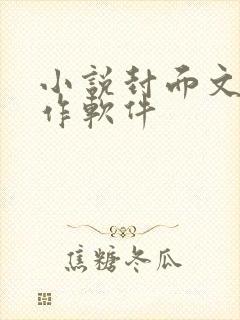 小说封面文字制作软件