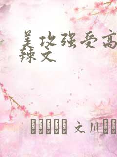 美攻强受高h肉辣文