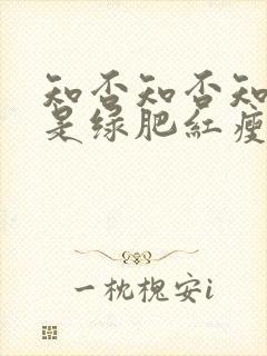 知否知否知否应是绿肥红瘦 原著