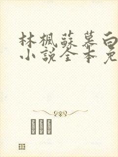 林枫苏慕白穿越小说全本免费阅读武神主宰