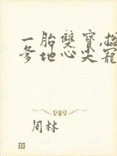 一胎双宝,总裁爹地心尖宠