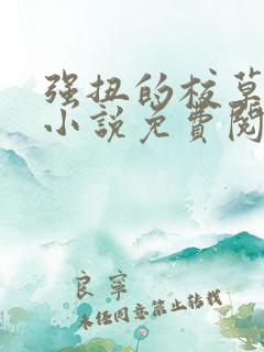 强扭的校草不甜小说免费阅读