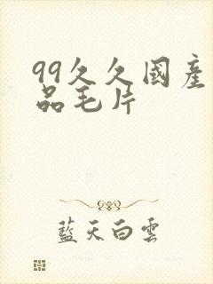 99久久国产精品毛片