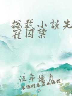 总裁小说先虐后宠囚禁