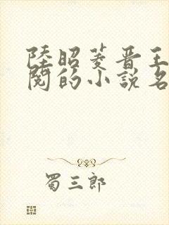 陆昭菱晋王周时阅的小说名